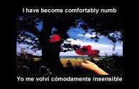 Pink Floyd – Comfortably Numb (Español – Ingles)