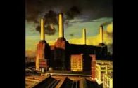 Pink Floyd – Pigs (Three different Ones)